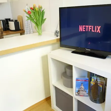 Cosy Nearby Station Neustadt In It-district Dresden